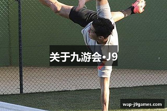 关于九游会·J9